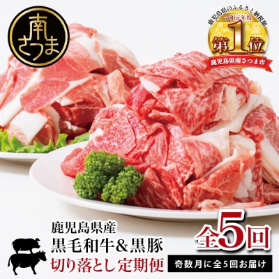 【モリモリ定期便】鹿児島県産黒毛和牛&黒豚 切落し定期便(全5回)