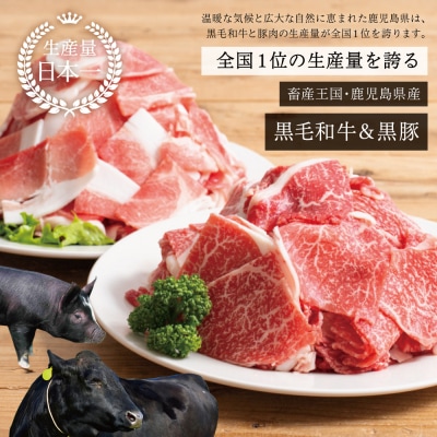【モリモリ定期便】鹿児島県産黒毛和牛&黒豚 切落し定期便(全5回)