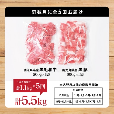 【モリモリ定期便】鹿児島県産黒毛和牛&黒豚 切落し定期便(全5回)
