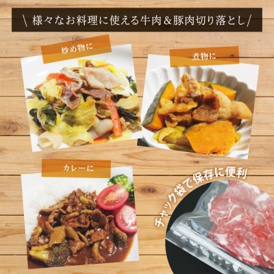 【モリモリ定期便】鹿児島県産黒毛和牛&黒豚 切落し定期便(全5回)