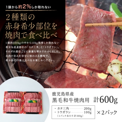 【期間・数量限定】 鹿児島県産黒毛和牛 焼肉用 計600g 赤身希少部位2種セット