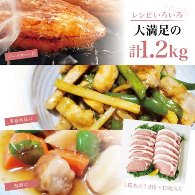 【氷感熟成豚】鹿児島県産 豚ロース とんかつ・ソテー用 計1.2kg