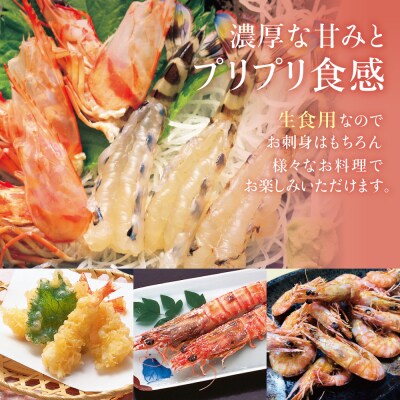 【お中元ギフト】【鹿児島県産】活〆 冷凍車海老 300g(生食用)