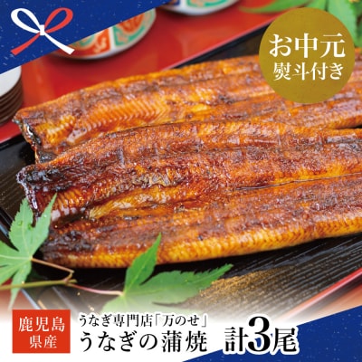 【お中元ギフト】鹿児島県産 鰻 うなぎ専門店「万のせ」 うなぎ蒲焼3尾