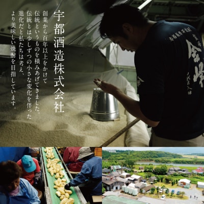 【お中元ギフト】宇都酒造 本格芋焼酎2本飲み比べセット(天文館 900ml&かせだんもん720ml)