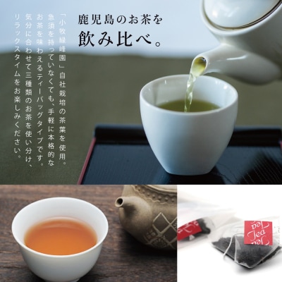 3種の鹿児島茶セット[緑茶・玄米茶・紅茶] 計60個(各10個×6袋) ティーバッグタイプ