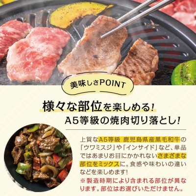 【鹿児島県産】A5等級黒毛和牛 焼肉 切り落とし計1kg (250g×4P)