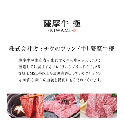 鹿児島県産黒毛和牛「薩摩牛 極」ヒレステーキ 4枚 計600g