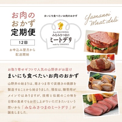 【定期便 全12回】お肉のおかず定期便　[みなみさつまのミートデリ]
