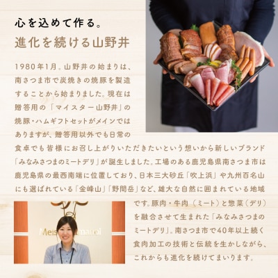 【定期便 全12回】お肉のおかず定期便　[みなみさつまのミートデリ]