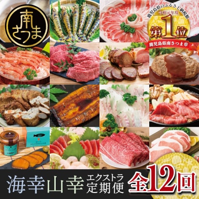 海幸山幸エクストラ定期便(全12回) ハンバーグ 刺身 しゃぶしゃぶ すき焼き マグロ 牛肉 豚肉