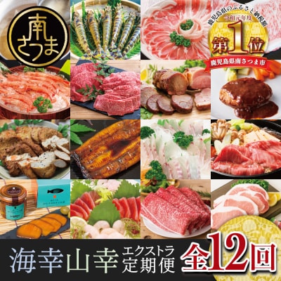 海幸山幸エクストラ定期便(全12回) ハンバーグ 刺身 しゃぶしゃぶ すき焼き マグロ 牛肉 豚肉