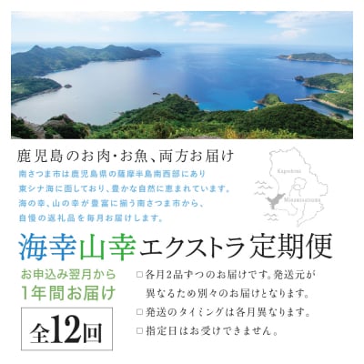 海幸山幸エクストラ定期便(全12回) ハンバーグ 刺身 しゃぶしゃぶ すき焼き マグロ 牛肉 豚肉