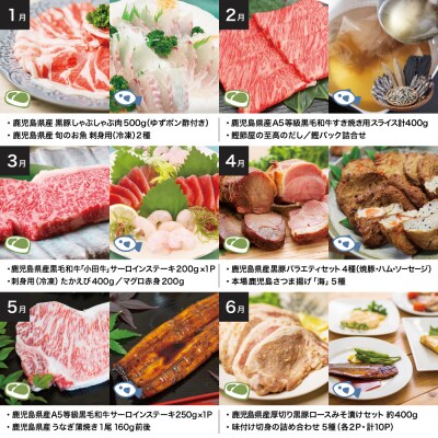 海幸山幸エクストラ定期便(全12回) ハンバーグ 刺身 しゃぶしゃぶ すき焼き マグロ 牛肉 豚肉