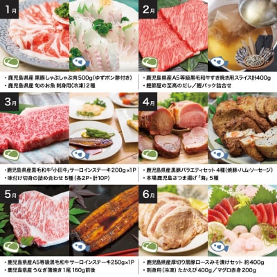 海幸山幸エクストラ定期便(全12回) ハンバーグ 刺身 しゃぶしゃぶ すき焼き マグロ 牛肉 豚肉