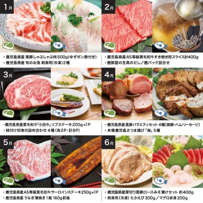 海幸山幸エクストラ定期便(全12回) ハンバーグ 刺身 しゃぶしゃぶ すき焼き マグロ 牛肉 豚肉