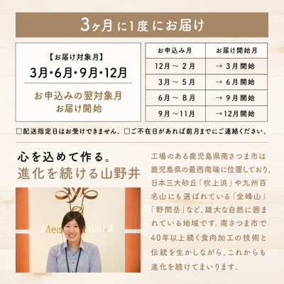 【定期便 全4回】お肉のおかず定期便[みなみさつまのミートデリ]