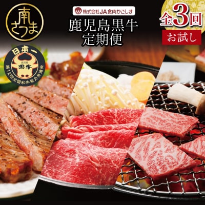 【定期配送(3回)】ブランド牛 「鹿児島黒牛」 お試し定期便 黒毛和牛 JA食肉かごしま