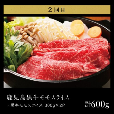 【JA食肉かごしま】鹿児島黒牛 お試し定期便 (全3回) 黒毛和牛 牛肉 定期便
