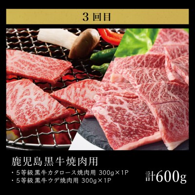 【JA食肉かごしま】鹿児島黒牛 お試し定期便 (全3回) 黒毛和牛 牛肉 定期便
