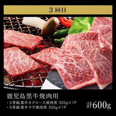 【定期配送(3回)】ブランド牛 「鹿児島黒牛」 お試し定期便 黒毛和牛 JA食肉かごしま