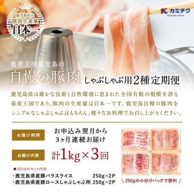 [定期便 全3回]カミチクのしゃぶしゃぶ用豚肉 2種類 鹿児島県産豚ロース&バラ 計1kg×3回