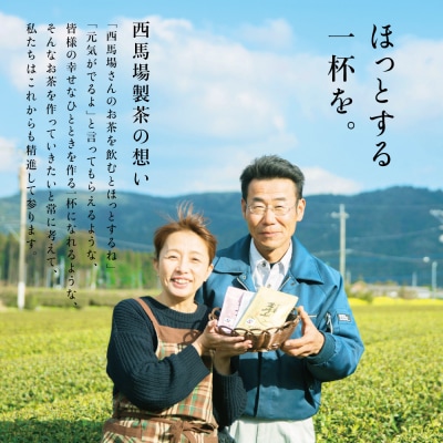 【お歳暮ギフト】西馬場製茶 かごしま茶「金峰山・白銀」3本セット(100g×3)