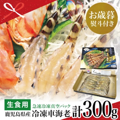 【お歳暮ギフト】【鹿児島県産】活〆 冷凍車海老 300g (生食用)