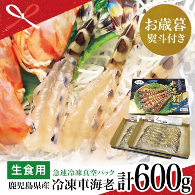 【お歳暮ギフト】【鹿児島県産】活〆 冷凍車海老 計600g (生食)