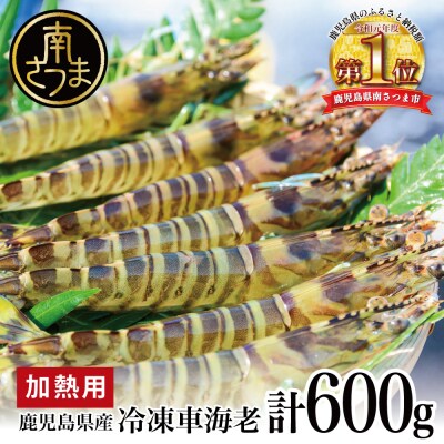 ★年内発送★【鹿児島県産】冷凍 車海老 Lサイズ 600g (加熱用) 車えび 海老 冷凍