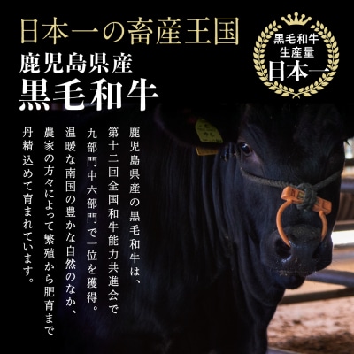 【鹿児島県産】黒毛和牛 焼肉用ロース 400g 4等級以上 スターゼン