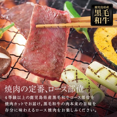 【鹿児島県産】黒毛和牛 焼肉用ロース 400g 4等級以上 スターゼン