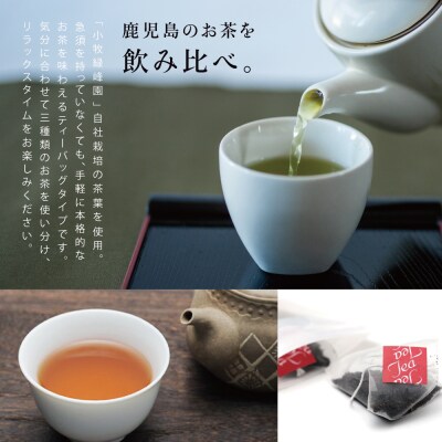 【母の日ギフト】3種の鹿児島茶セット[緑茶・玄米茶・紅茶] 計60個(各10個×6袋) ティーバッグ