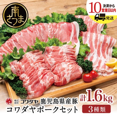 ★最短発送★ 鹿児島産 豚肉3種 計1.6kg (バラ/肩ロースしゃぶしゃぶ/ロース生姜焼き)