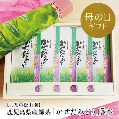 【母の日ギフト】鹿児島県産緑茶 かせだみどり(80g×5袋) お茶 茶葉