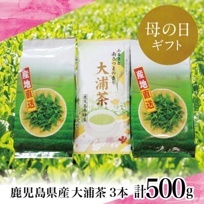 【母の日ギフト】鹿児島県産緑茶 大浦茶 3本セット 計500g