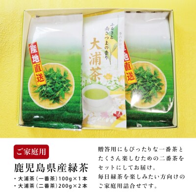 【母の日ギフト】鹿児島県産緑茶 大浦茶 3本セット 計500g
