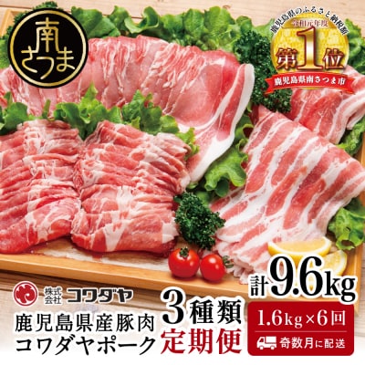 【定期便 全6回】鹿児島産 豚肉3種類セット 1.6kg×6回(合計9.6kg)[奇数月お届け]