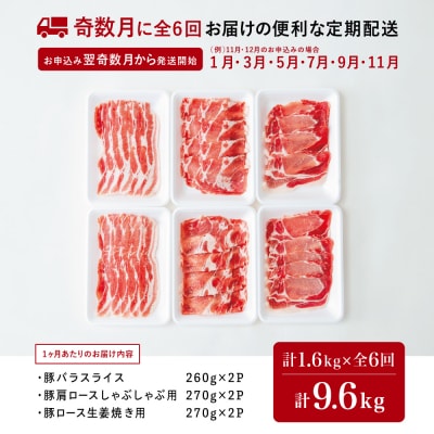 【定期便 全6回】鹿児島産 豚肉3種類セット 1.6kg×6回(合計9.6kg)[奇数月お届け]