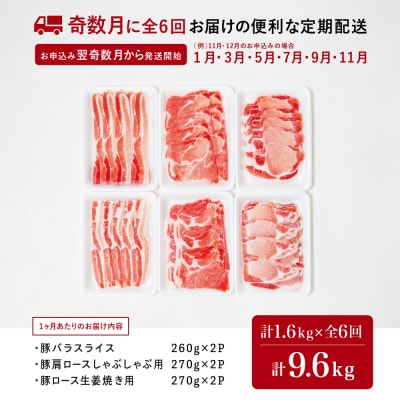 【定期便 全6回】鹿児島産 豚肉3種類セット 1.6kg×6回(合計9.6kg)[奇数月お届け]