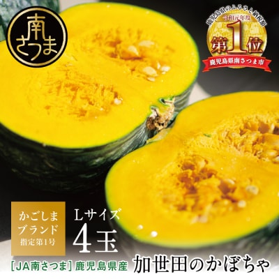 ◆5～7月出荷◆加世田のかぼちゃ 4個 [春出荷]【かごしまブランド】 JA南さつま