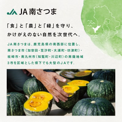 ◆5～7月出荷◆加世田のかぼちゃ 4個 [春出荷]【かごしまブランド】 JA南さつま