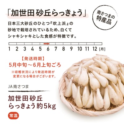 ◆先行受付:5月中旬発送開始◆加世田砂丘らっきょう 約5kg【鹿児島県南さつま市産】