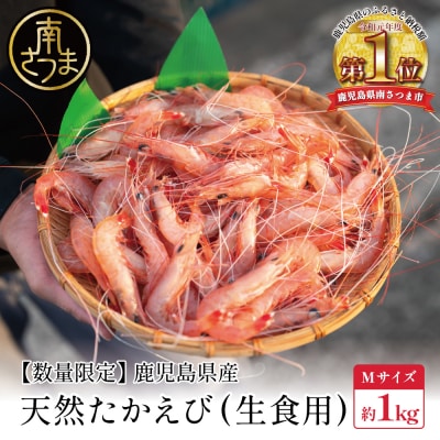 【数量限定】鹿児島県産 天然たかえび(生食用) 約1kg [Mサイズ]