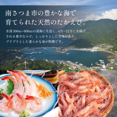 【数量限定】鹿児島県産 天然たかえび(生食用) 約1kg [Mサイズ]