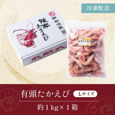 【数量限定】鹿児島県産 天然たかえび(生食用) 約1kg [Lサイズ]