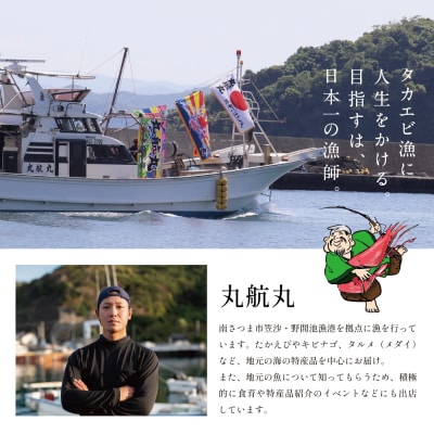 【数量限定】鹿児島県産 天然たかえび(生食用) 約1kg [Lサイズ]