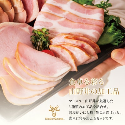 【マイスター山野井】ハム・ソーセージ 5種 詰合せ 計18P ギフト 贈答 冷蔵