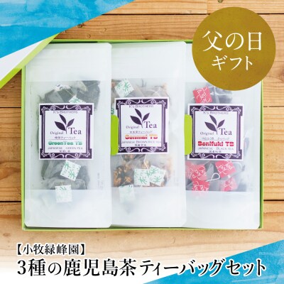 【父の日ギフト】3種の鹿児島茶セット[緑茶・玄米茶・紅茶] 計60個(各10個×6袋) 