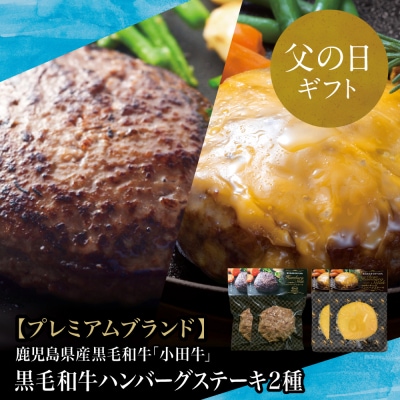 【父の日ギフト】鹿児島県産黒毛和牛「小田牛」 牛肉100% 2種類のハンバーグステーキ 計4個